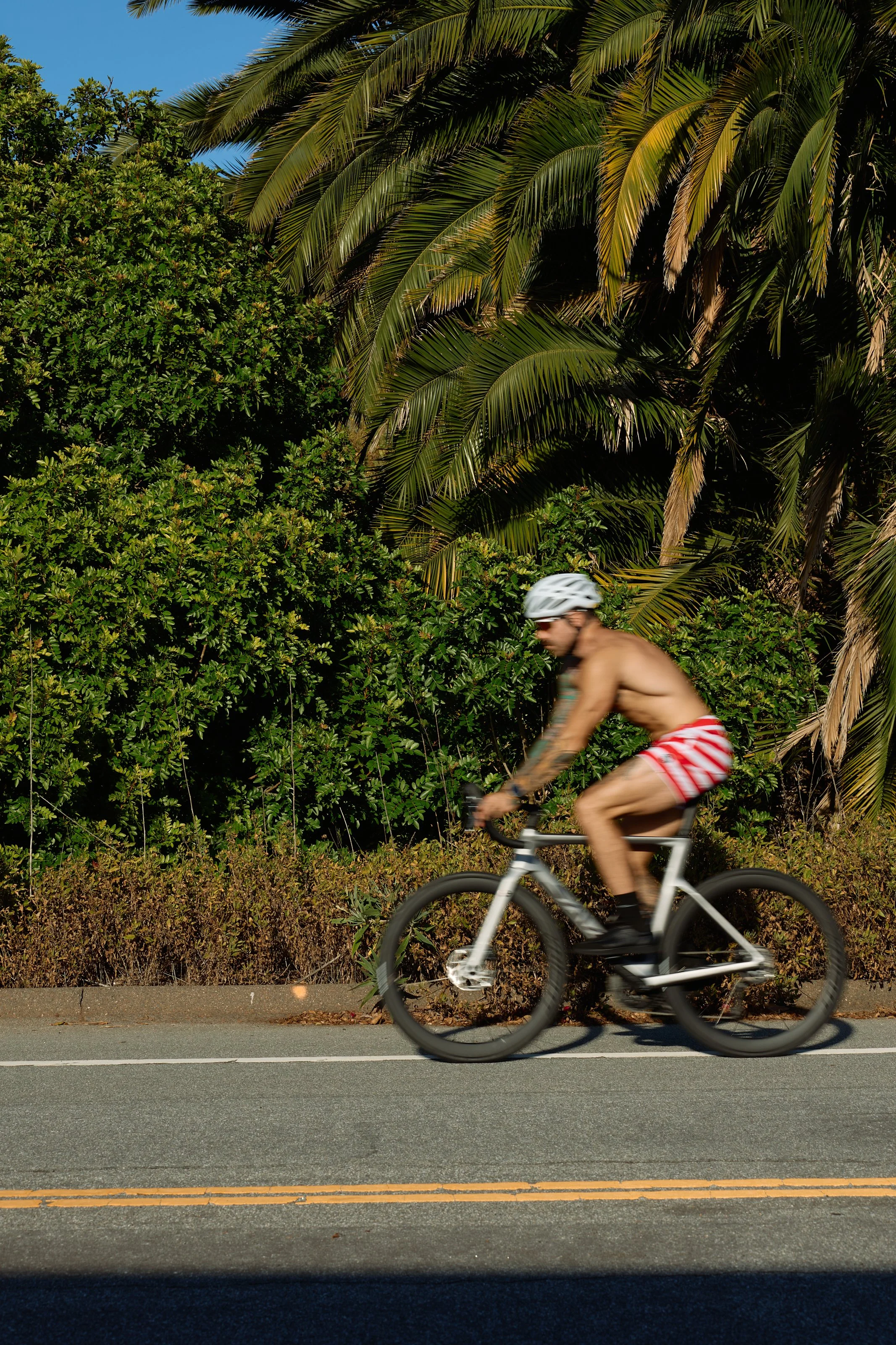 Activewear photography in Los Angeles: cyclist on a road lined with palm trees, by Moises Martinez