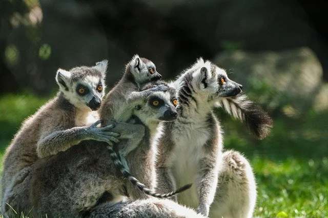 Neuer Gruppenzyklus Bad Blumau