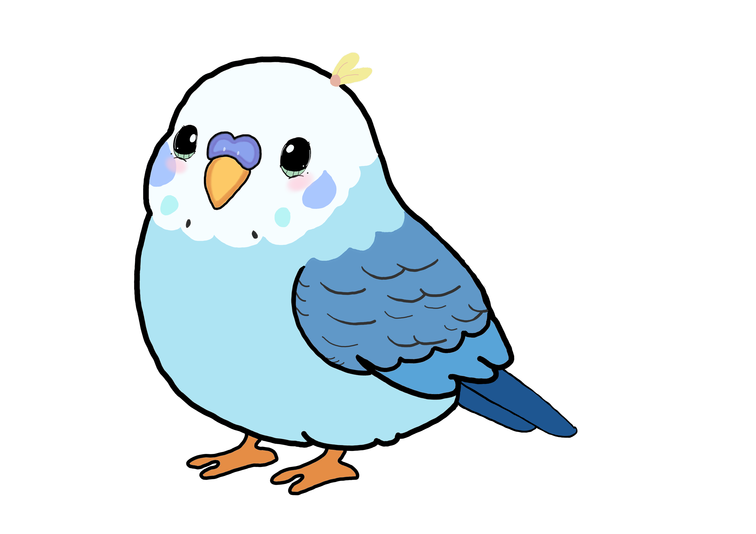 Blue Parakeet