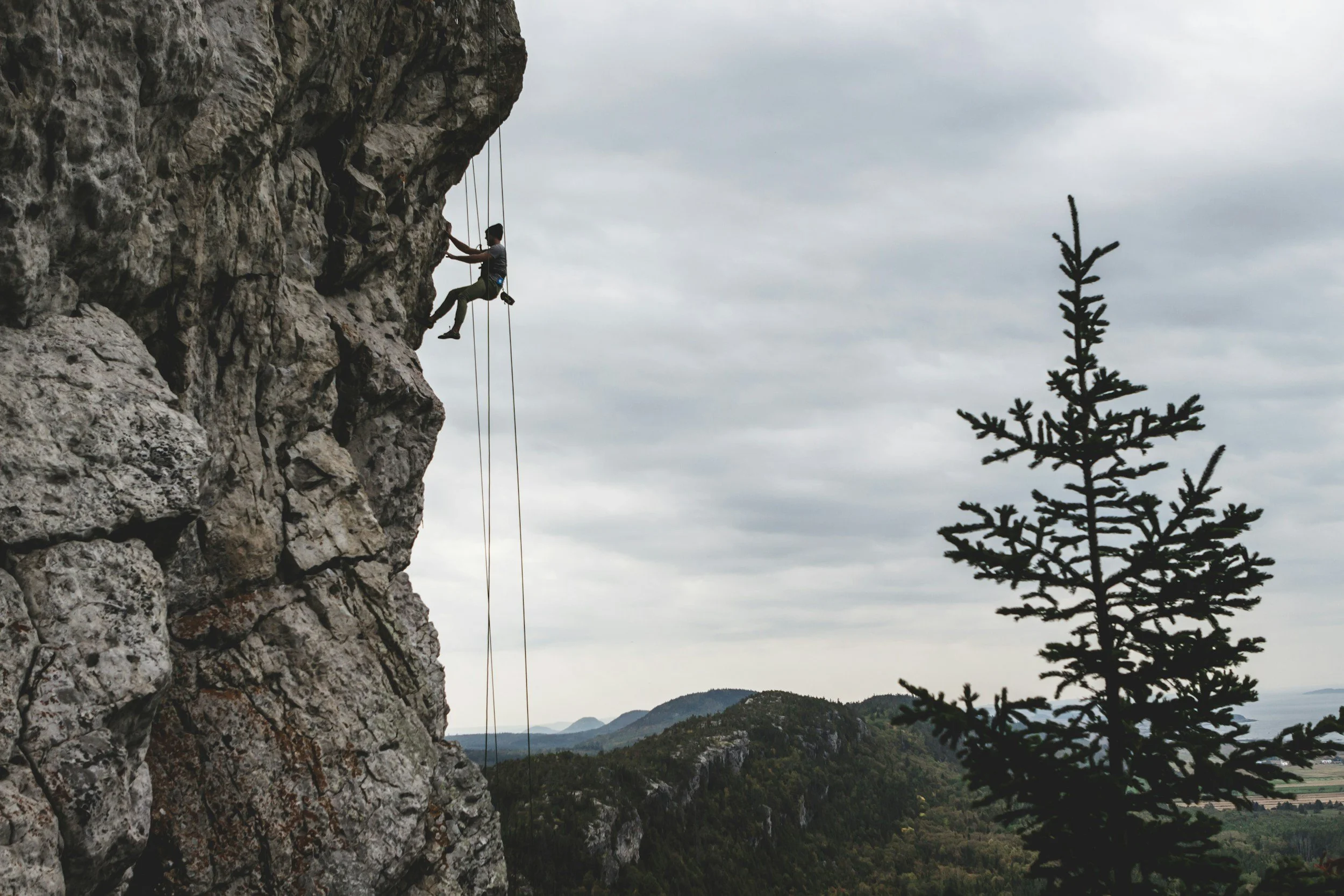 unsplash-image-qcXff4UhZ-4.jpg