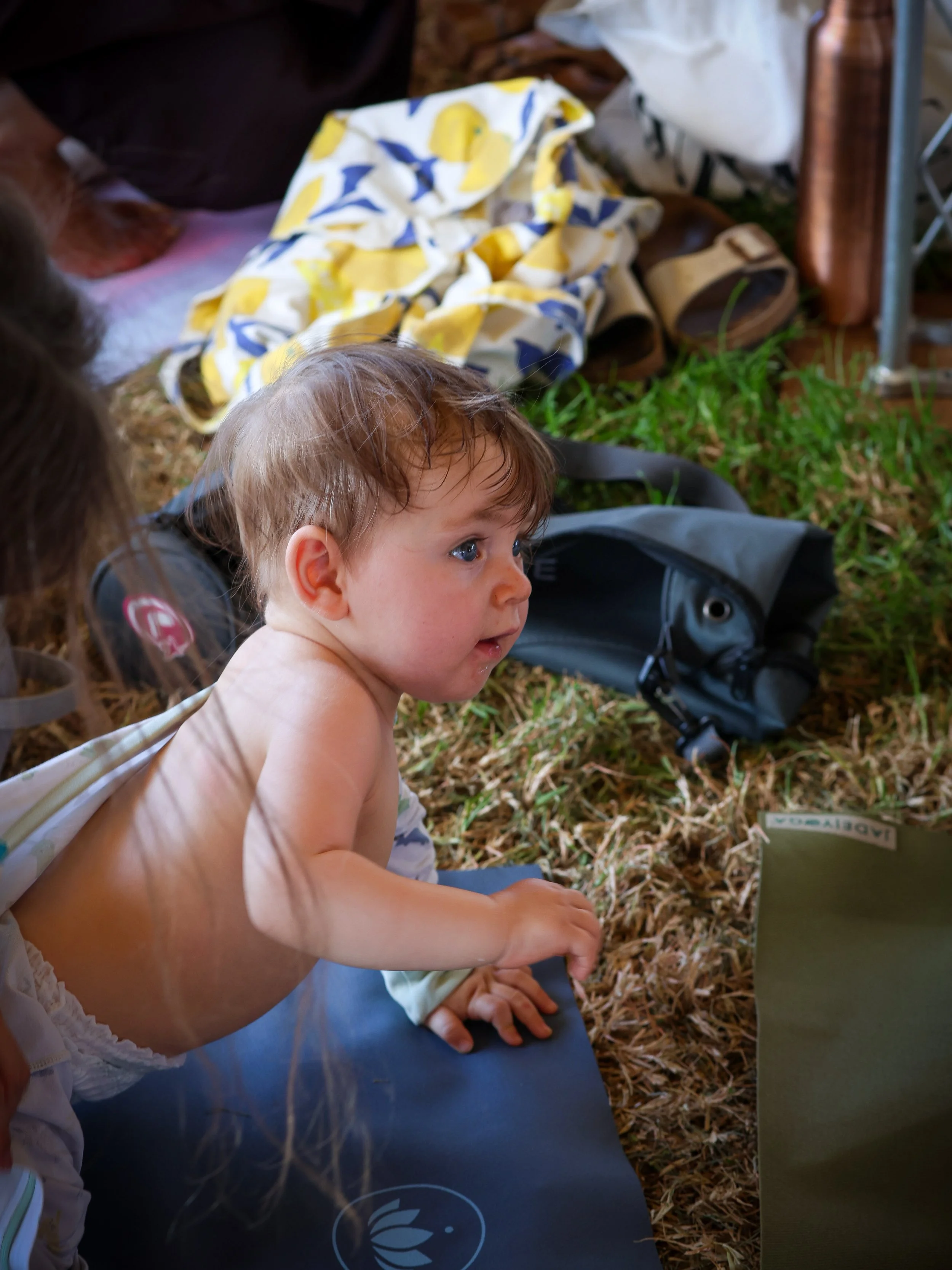 IMG_4330.JPG