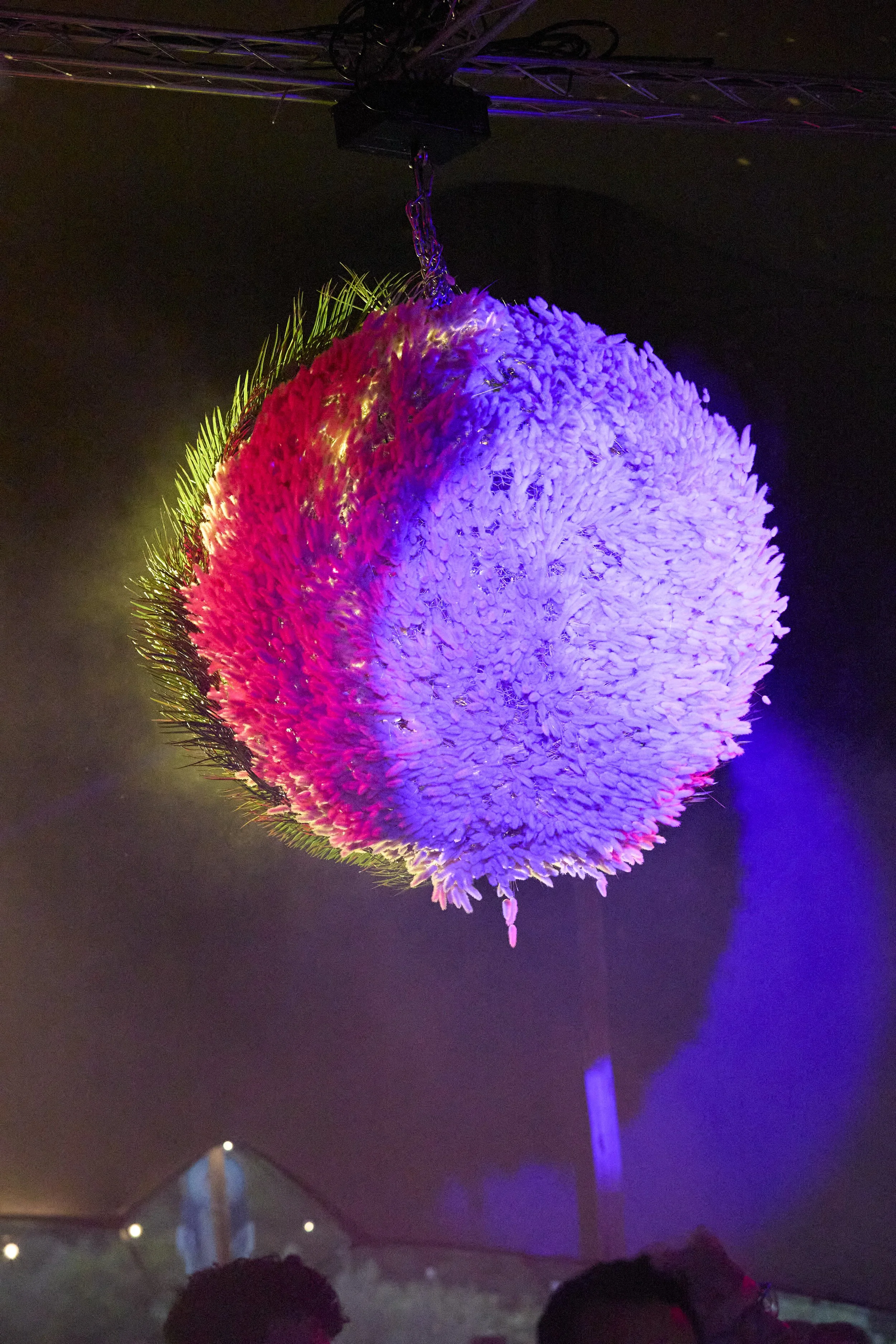 YDM2026_0166.jpg