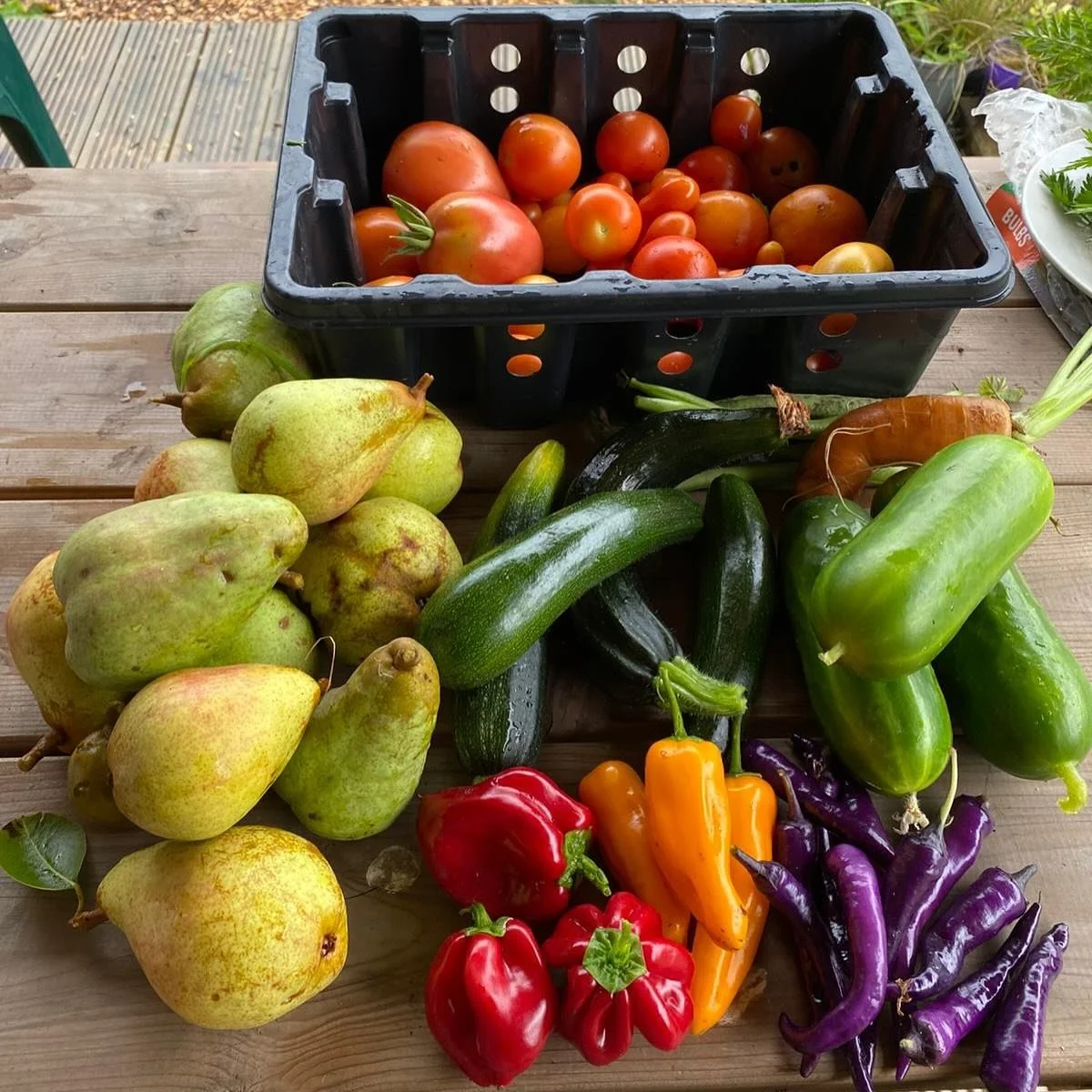 Good wee harvest today @muirshiel_lane_ 
Cucumbers, red, yellow & purple chilli peppers, tomatoes, courgettes and pears. 
Harvested our sunflower heads too for drying.
We meet every Sunday 12-2pm if you would like to help out.