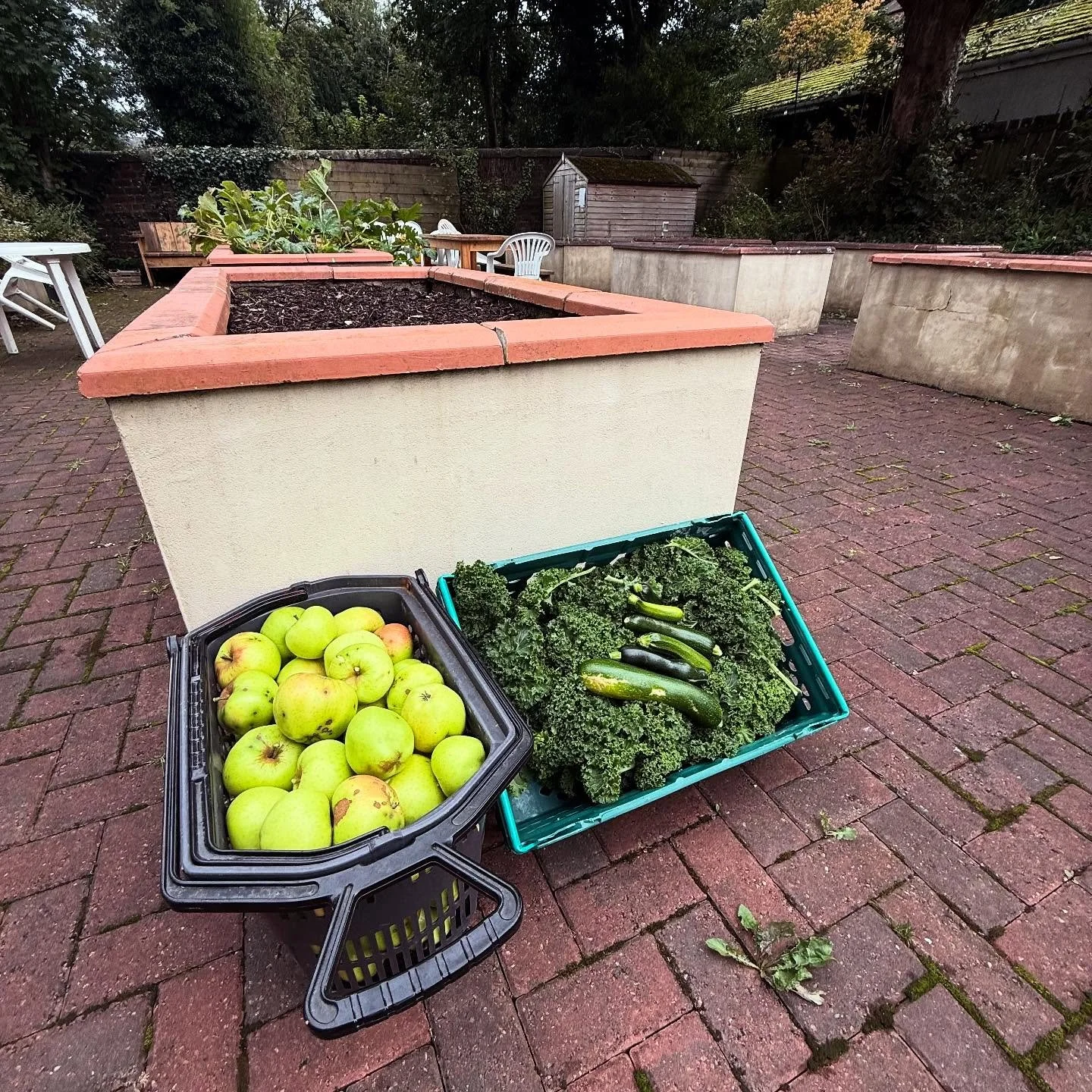 Apples, Kale & Courgettes at the Lyle Kirk, destined for the @lylegateway Cafe