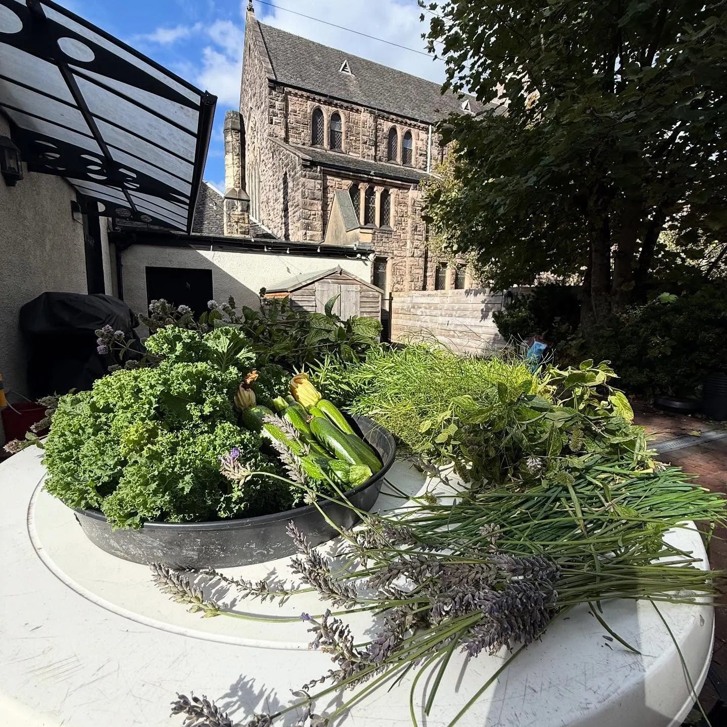 Kale, Courgette, Chives, Garden Mint, Spearmint, Rosemary, Sage & Fennel and a bucket of Lemon Balm too! @lylegateway