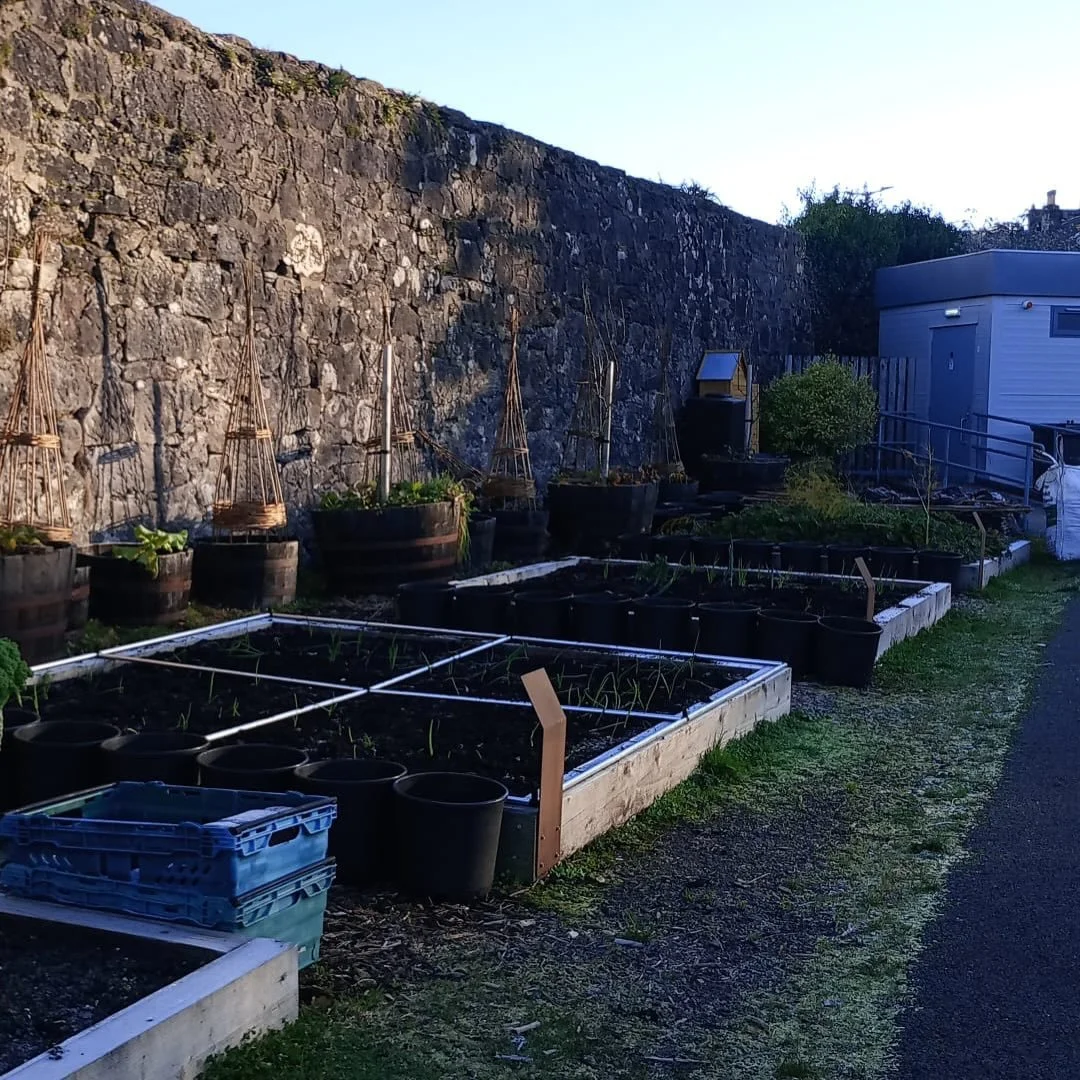 Gardening doesn&rsquo;t stop during the winter, but the work becomes preparation, topping up with fresh compost, filling our tattie pots and well just enjoying the low summer winter sun #glorious