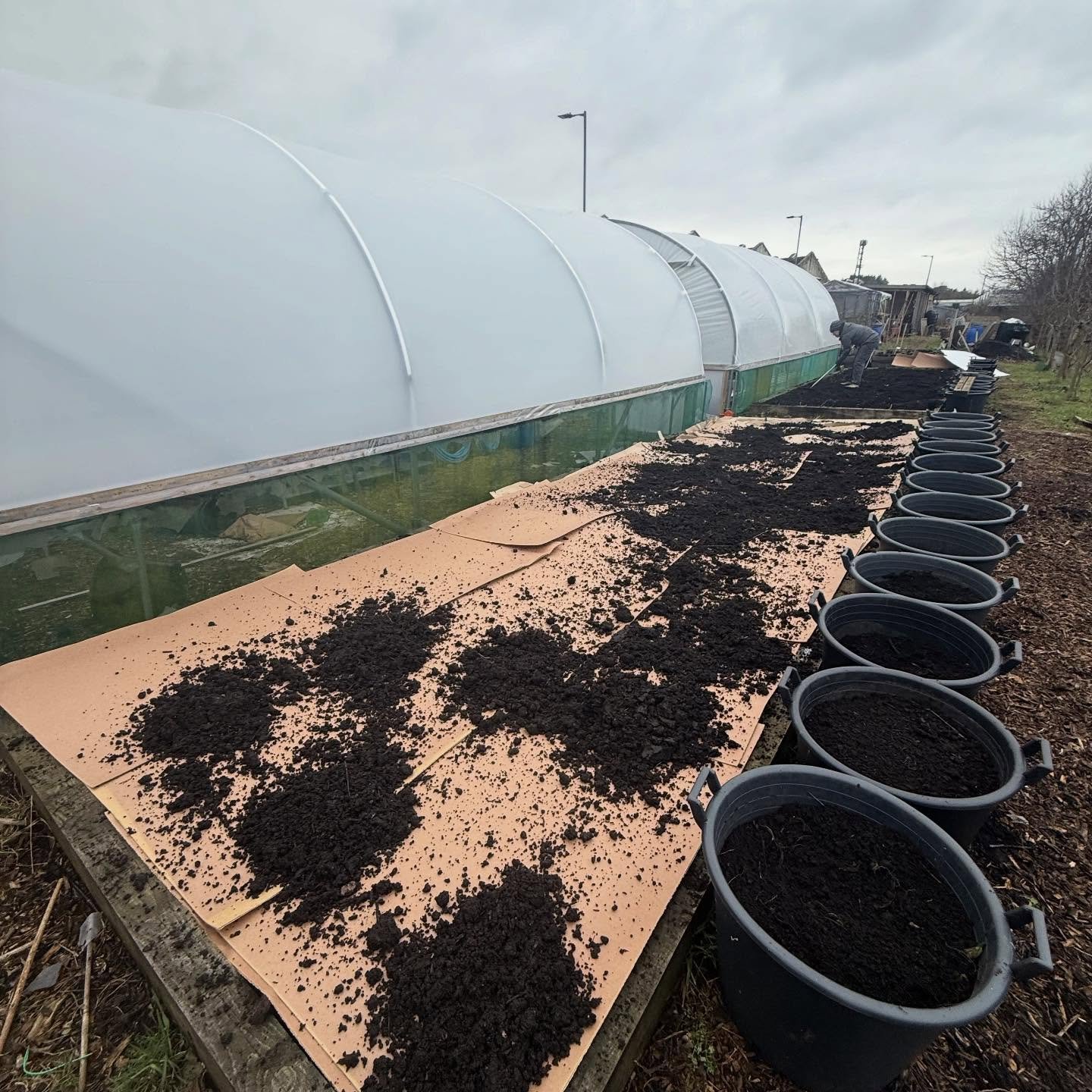 Resetting our big no dig veg beds next to the newly skinned polytunnels.