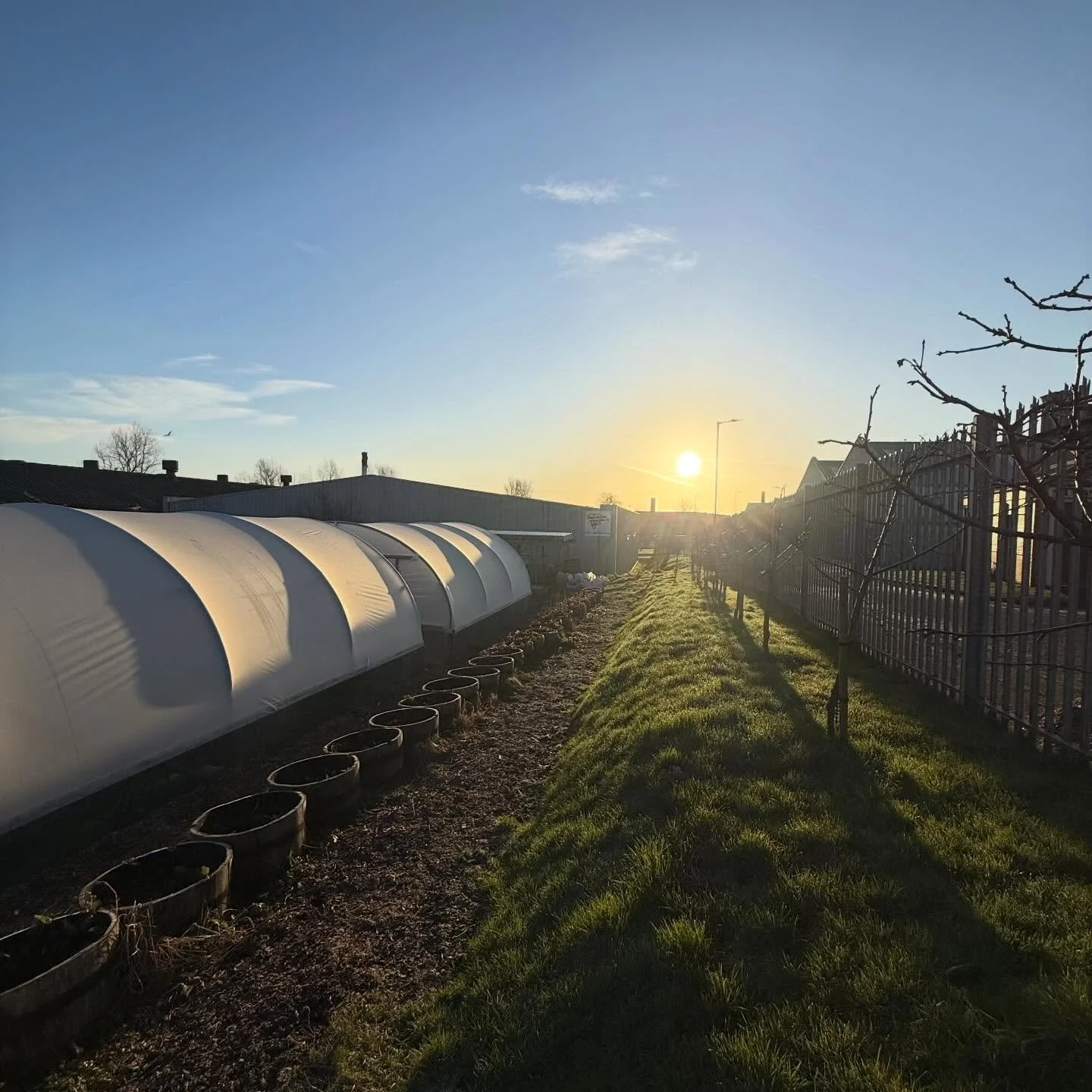 Sunrise at the Muirshiel Lane Community Garden