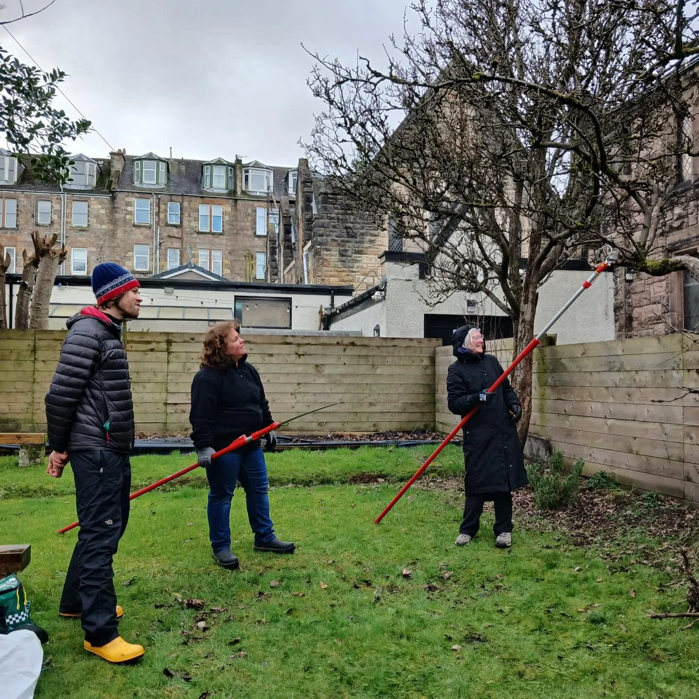 Our volunteers tackling pruning veteran apple tree&rsquo;s today @lylegateway working with Fergus from @theorchardproject