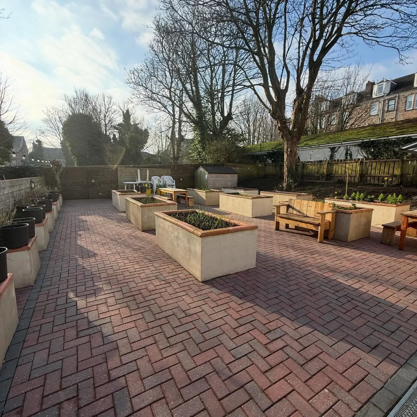 Lyle Kirk weeded and tatties, leeks, beetroot, kale, purple broccoli, romanesco cauli and some onions planted. Plenty of space for more tender plants to go in and the herb border to re-start. Lots of tasty winter salad and Vitamin C packed curly kale