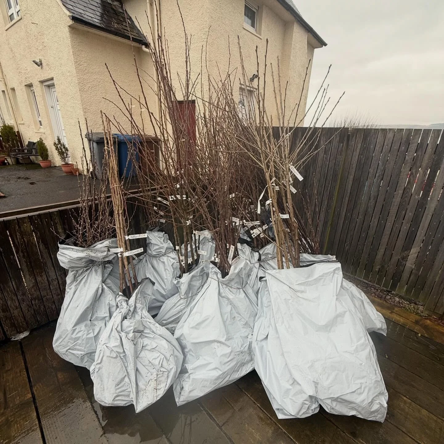 We are gearing up for this year&rsquo;s orchard planting with over 250 fruit tree&rsquo;s planned at Clydeview Academy, Inverclyde Academy, Gourock Primary, Coppermine Community Hall &amp; the Port Glasgow Hub. This work is supported by @thetreecounc
