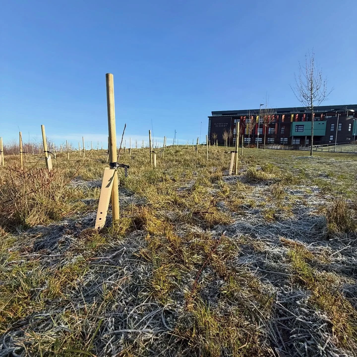 Still very cold (you know it is when the compost in the Tattie bags is steaming) but Clydeview Orchard now planted and we are helping them setup their outdoor learning / growing space.