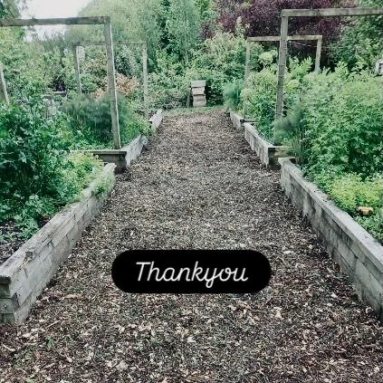 Thankyou to the Community Service &lsquo;no paid&rsquo; Team for heading down to shore street to spread woodchips and freshen up the paths between the herb beds