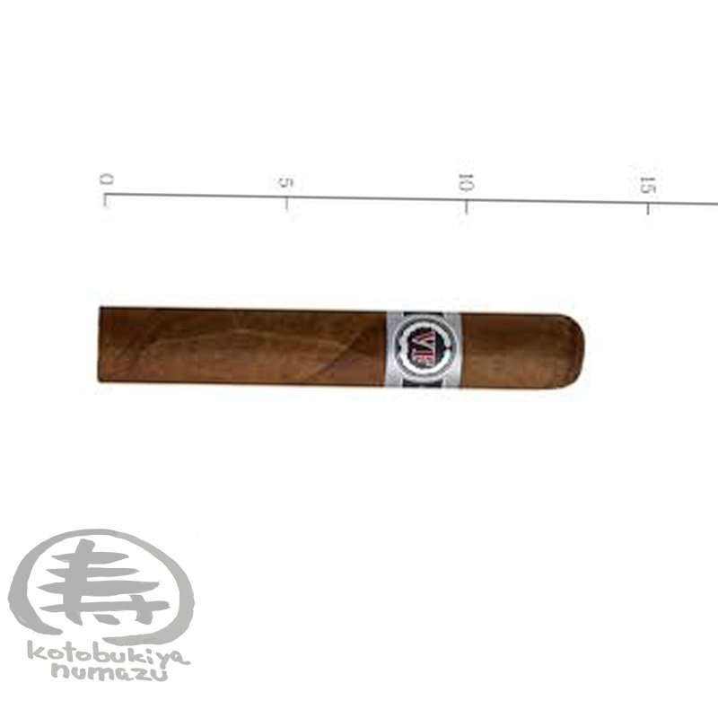 vwgafinaf2robusto-1.jpg