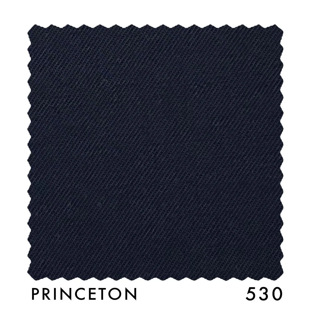 PRINCETON 530.jpg