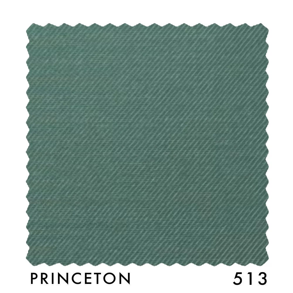 PRINCETON 513.jpg
