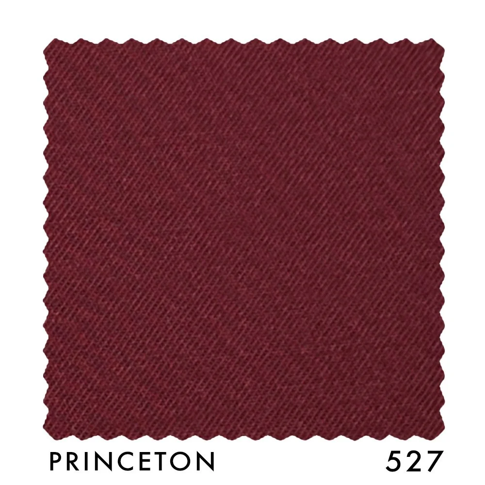 PRINCETON 527.jpg