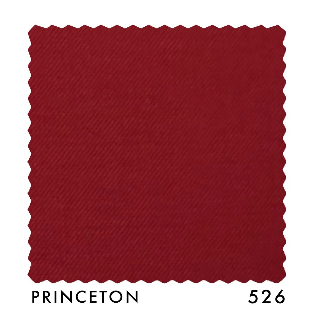 PRINCETON 526.jpg