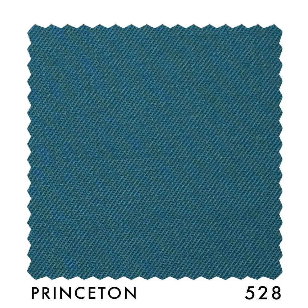 PRINCETON 528.jpg