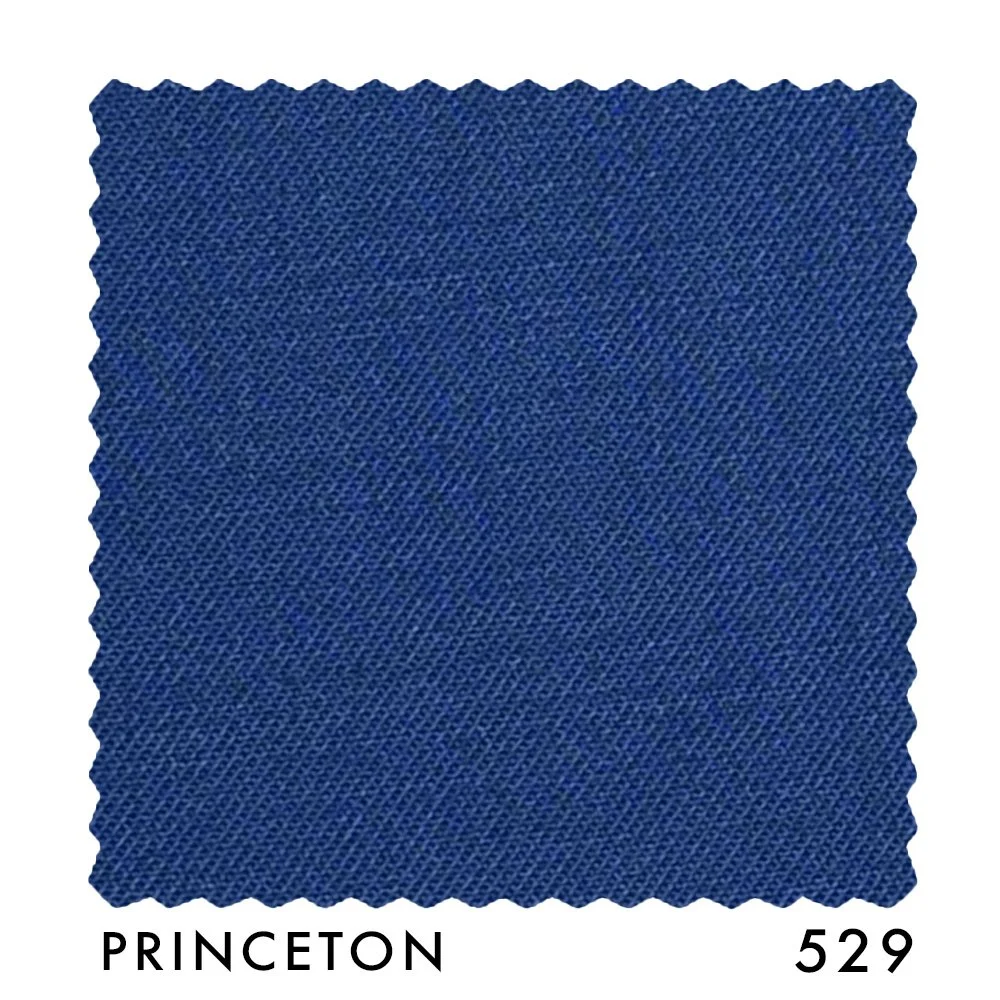 PRINCETON 529.jpg