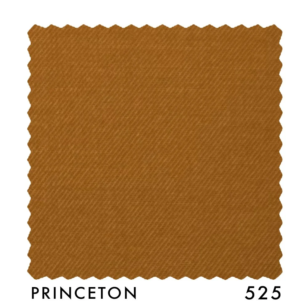 PRINCETON 525.jpg