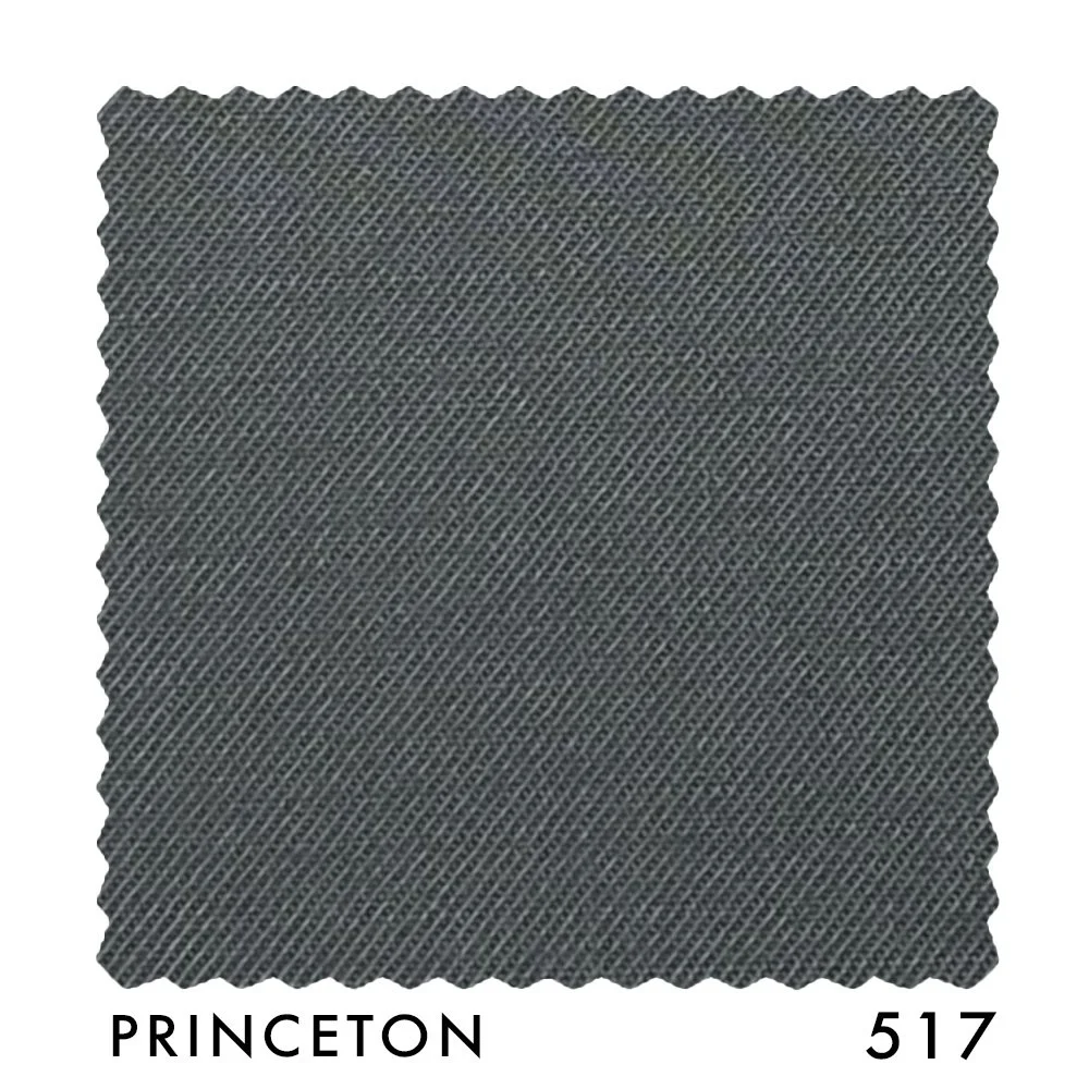 PRINCETON 517.jpg