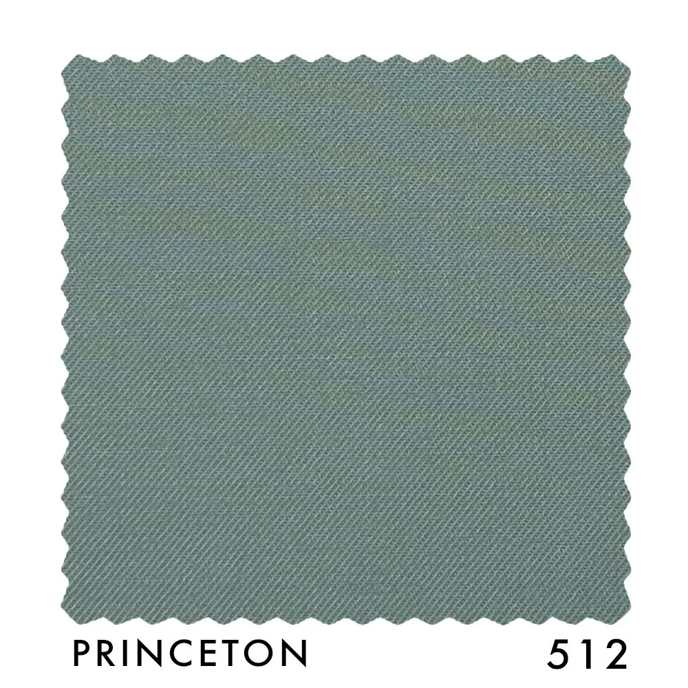 PRINCETON 512.jpg