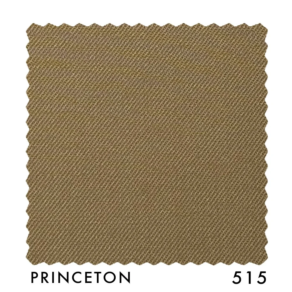 PRINCETON 515.jpg