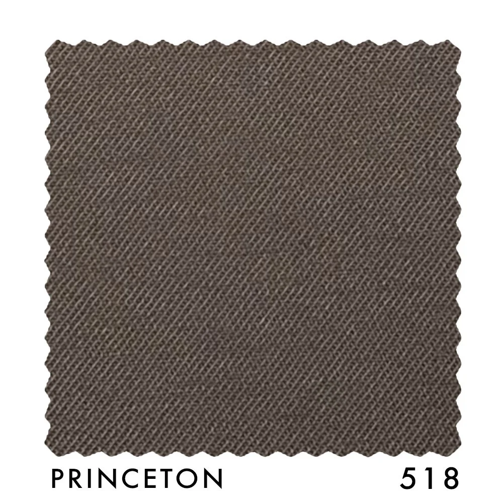PRINCETON 518.jpg