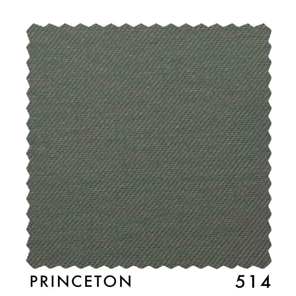 PRINCETON 514.jpg