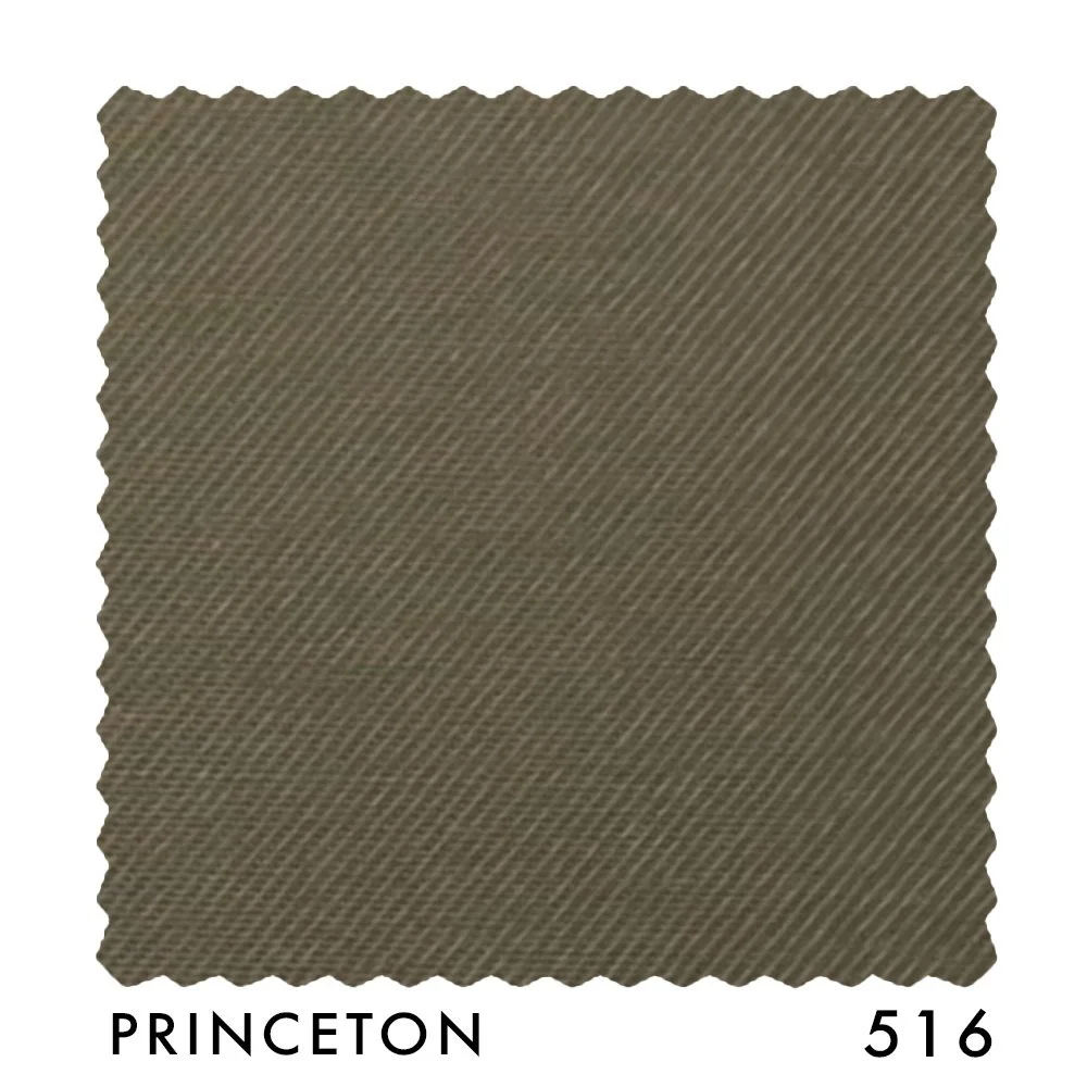PRINCETON 516.jpg