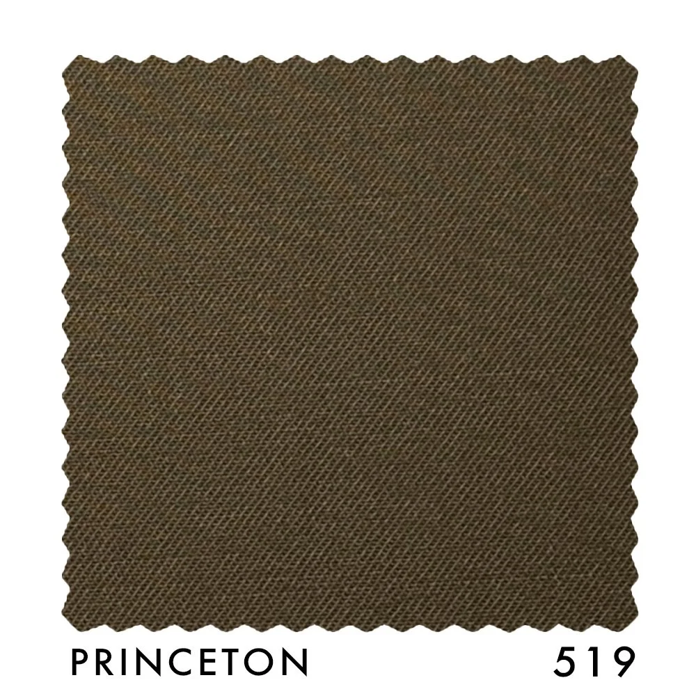 PRINCETON 519.jpg