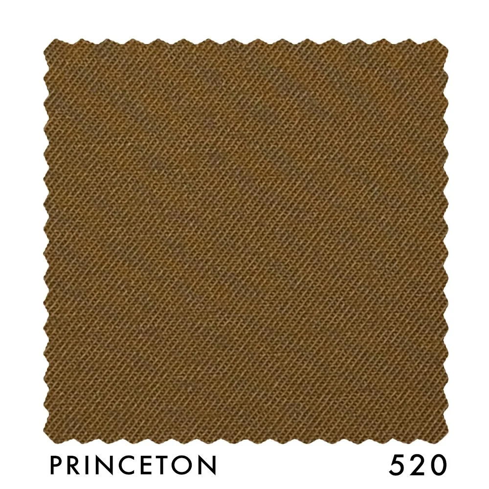 PRINCETON 520.jpg