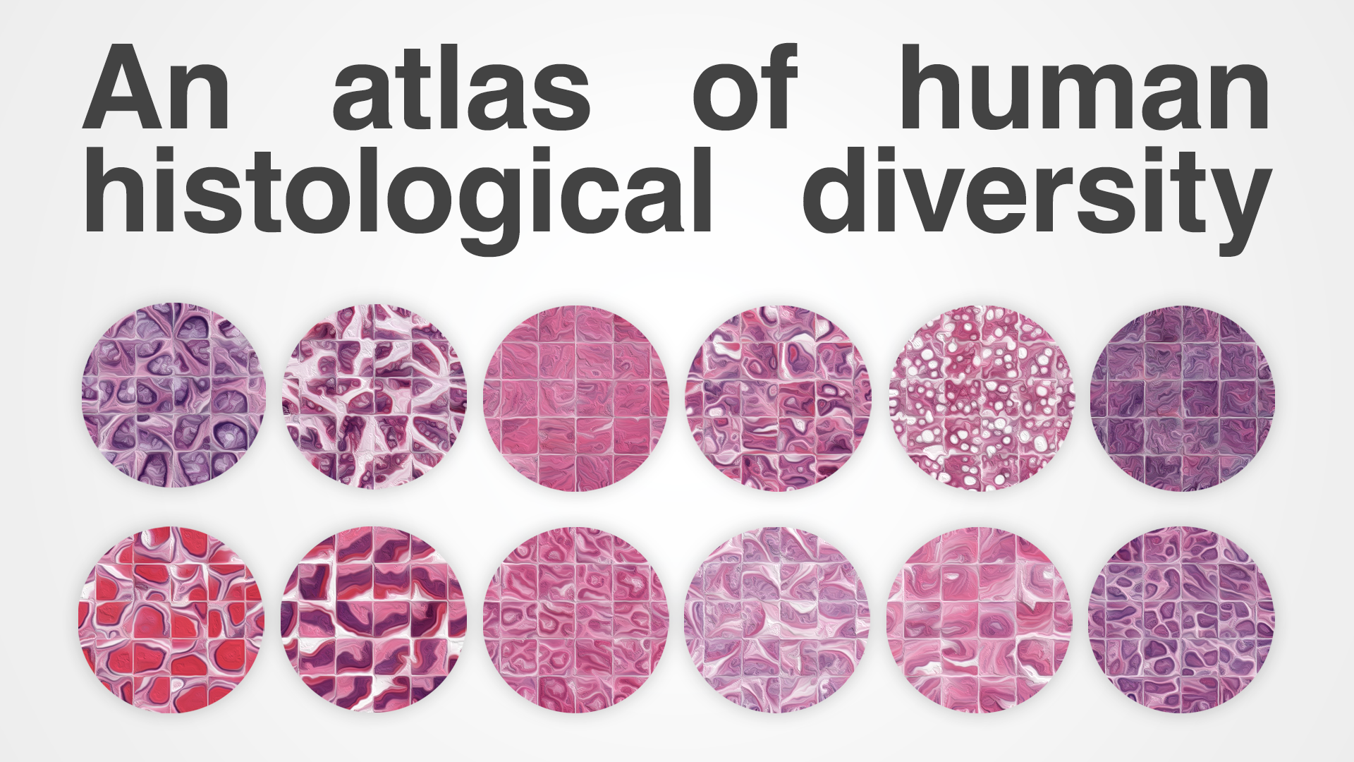 🚀 Big science, big data, and a huge step forward for histology! 🧬🔬