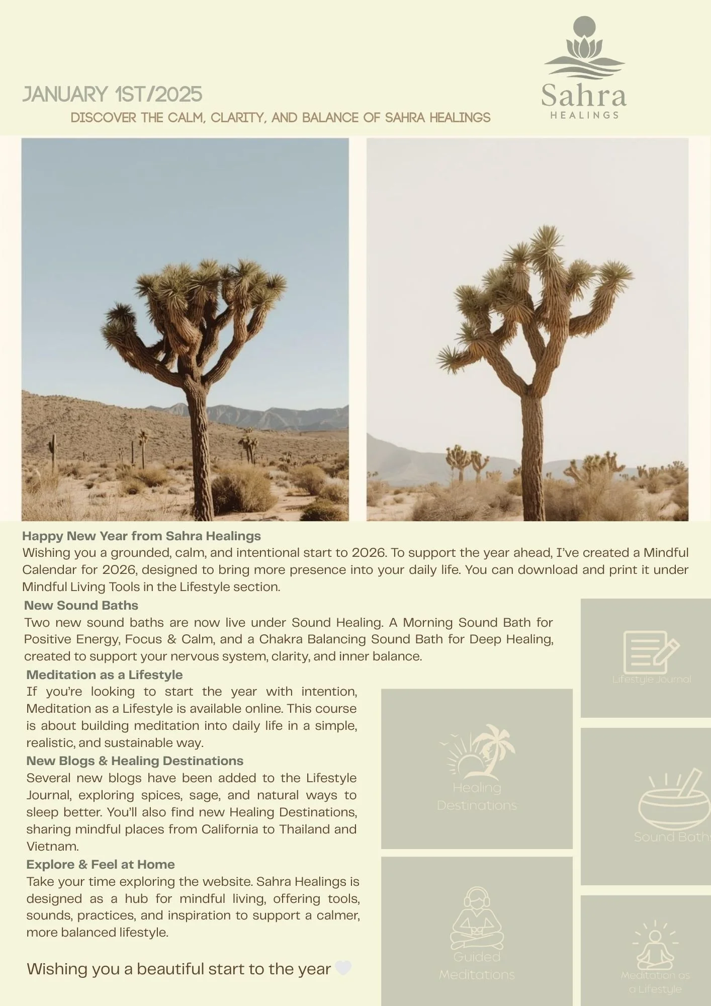 A desert landscape with several Joshua trees, mountains in the background, and a clear sky.