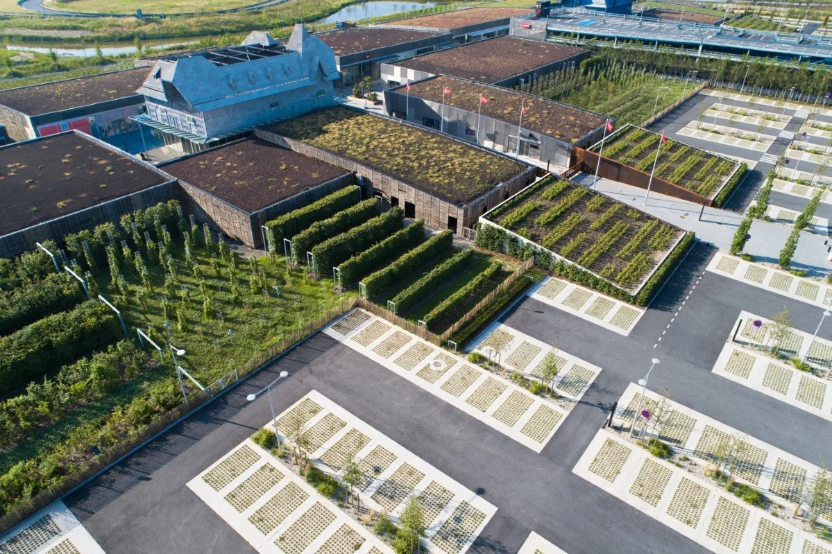 20180628-DJI_0153.jpg