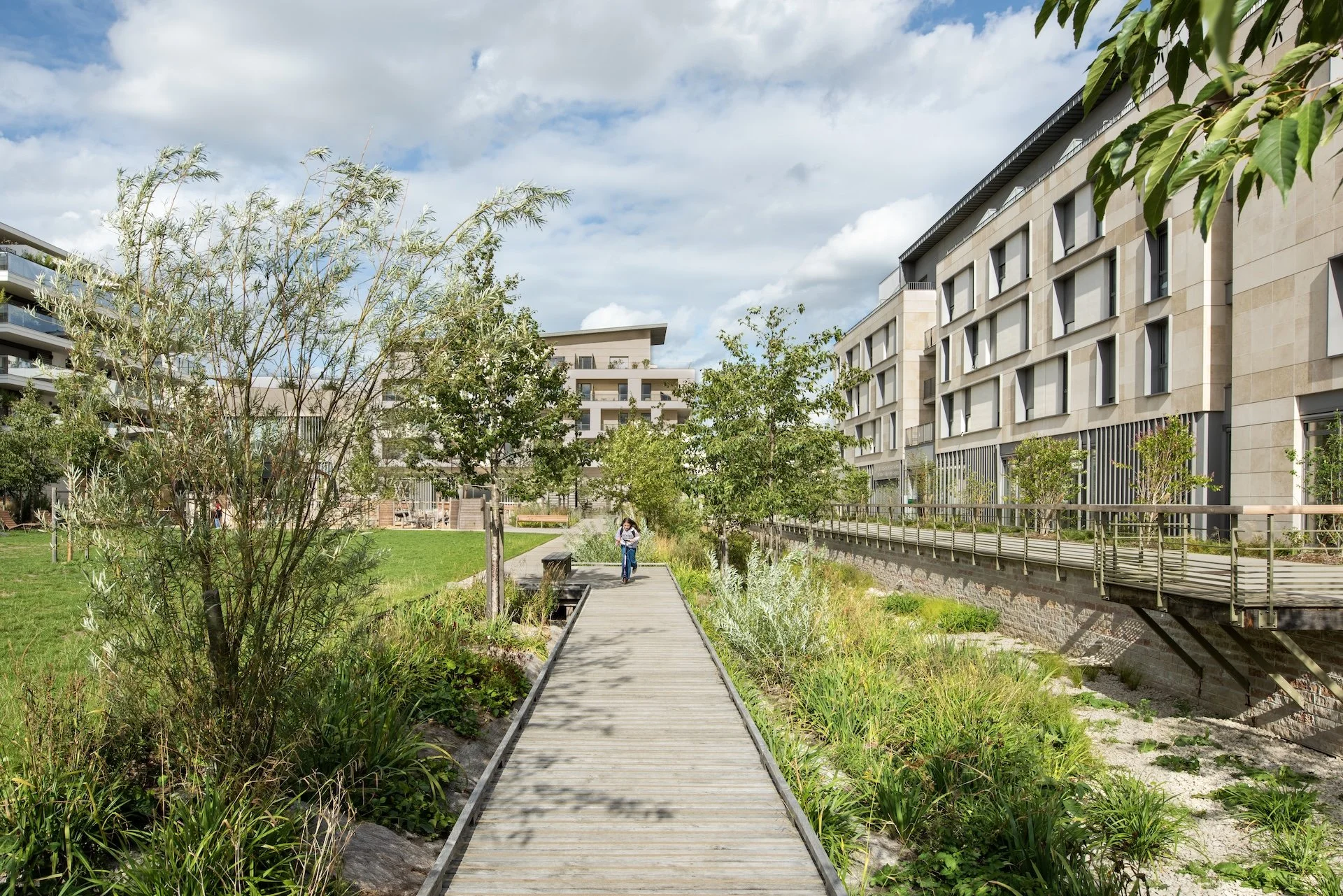 KS0_8278 copie 2.jpg