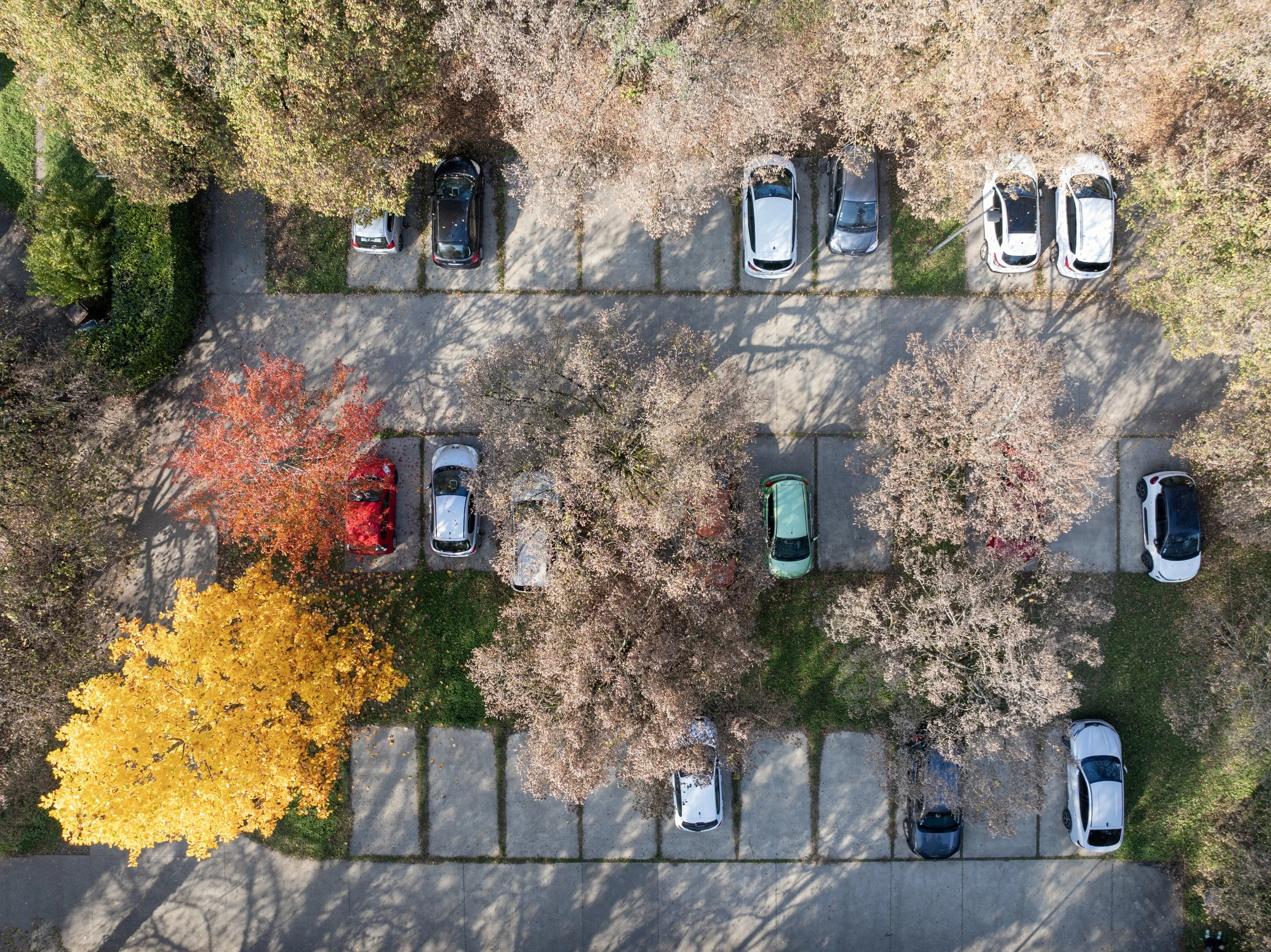 DJI_20251016154019_0128_D copie 2.jpg