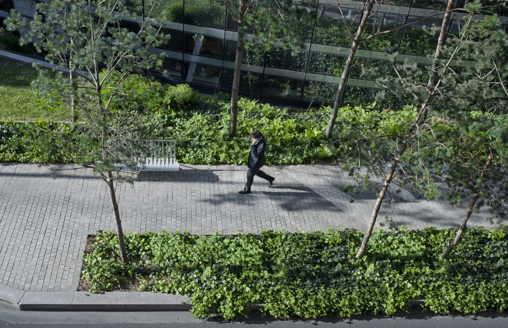 5 KS0_7403.jpg