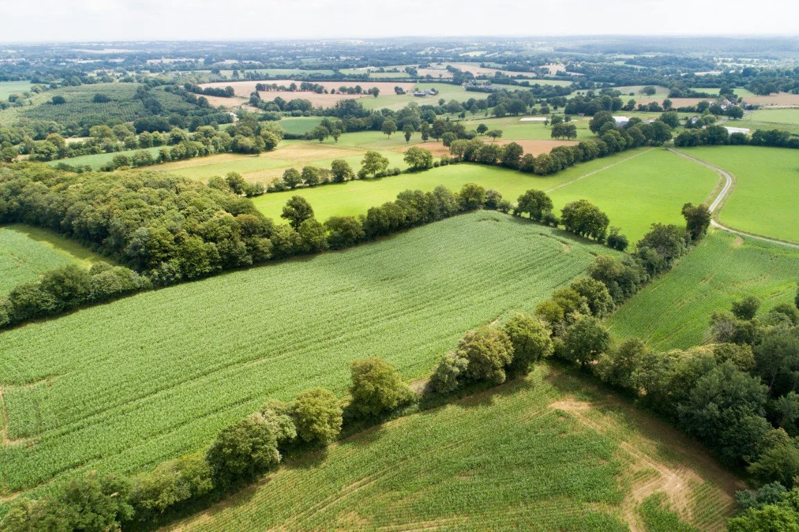 DJI_0321.jpg
