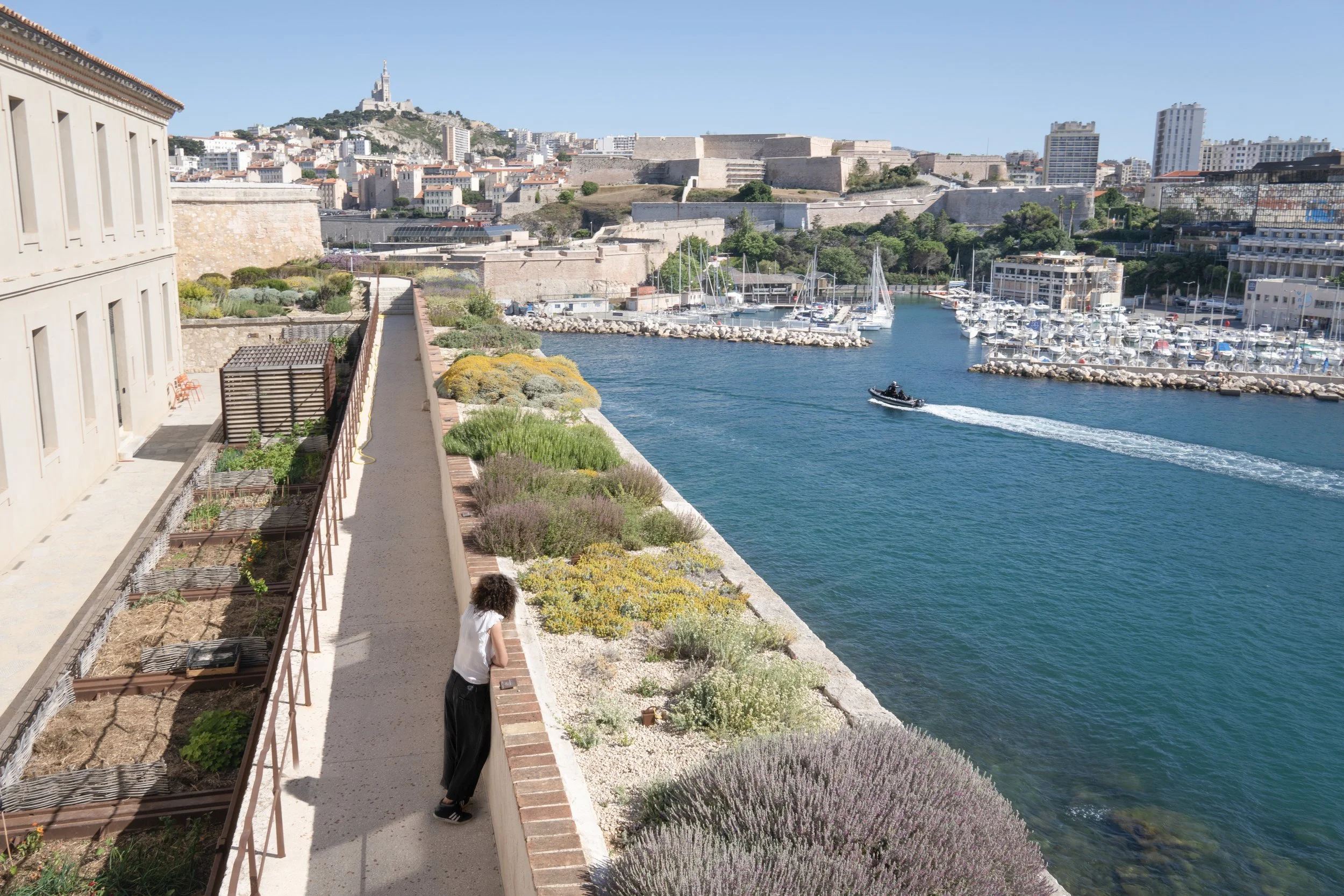 DSC00227 copie 2.jpg