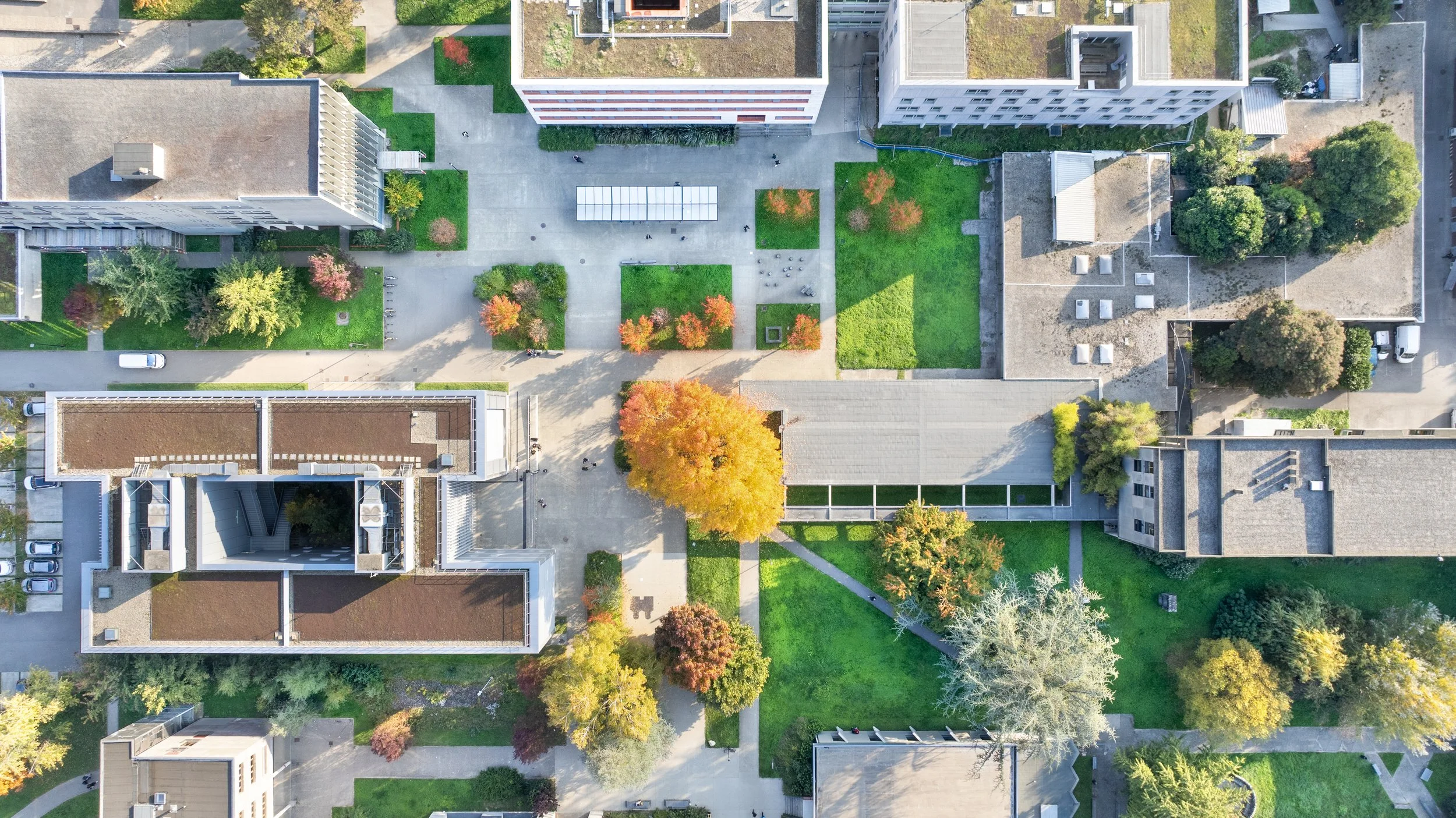 DJI_20251016165920_0199_D copie 3.jpg