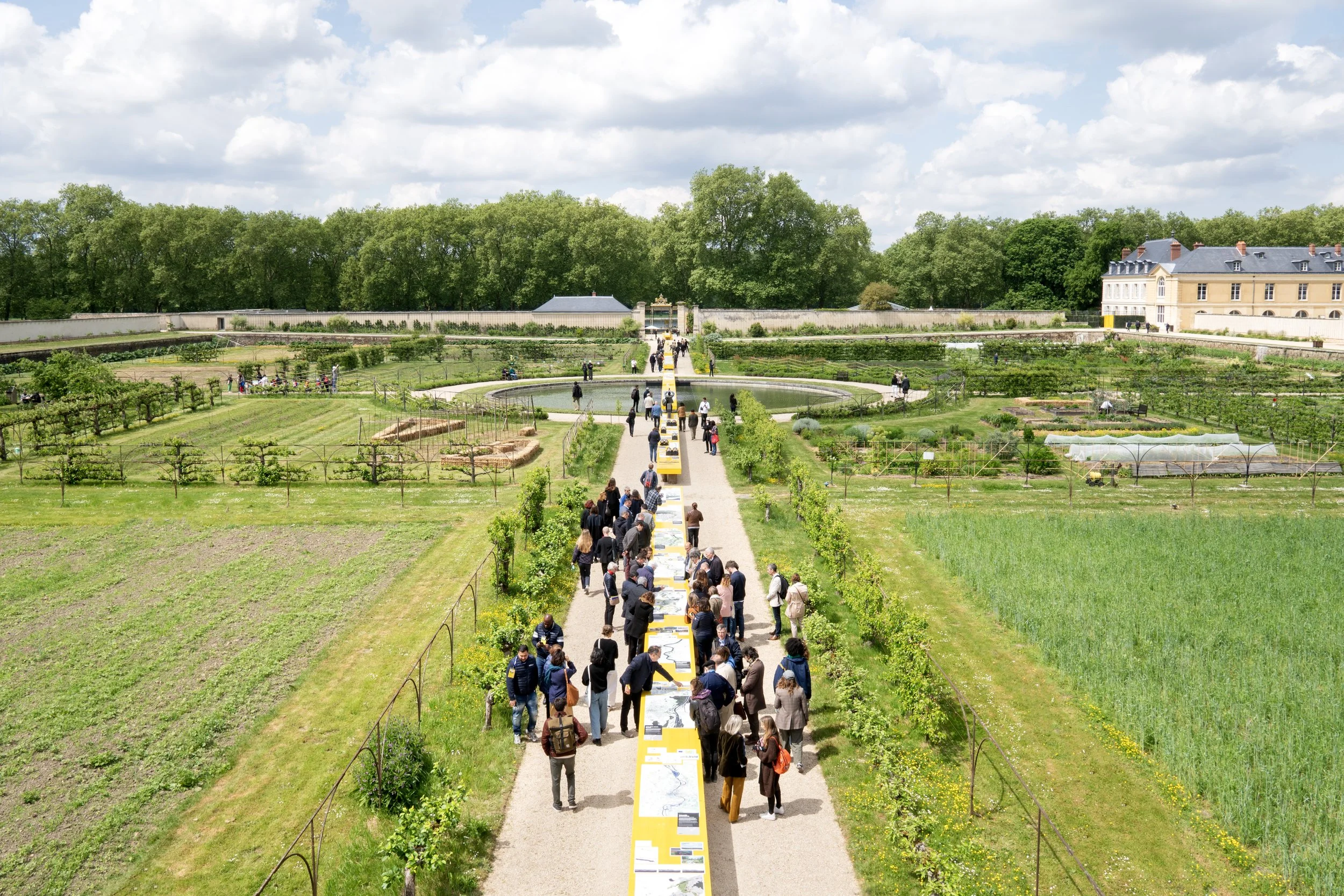 DSC05747 copie-2 copie.jpg