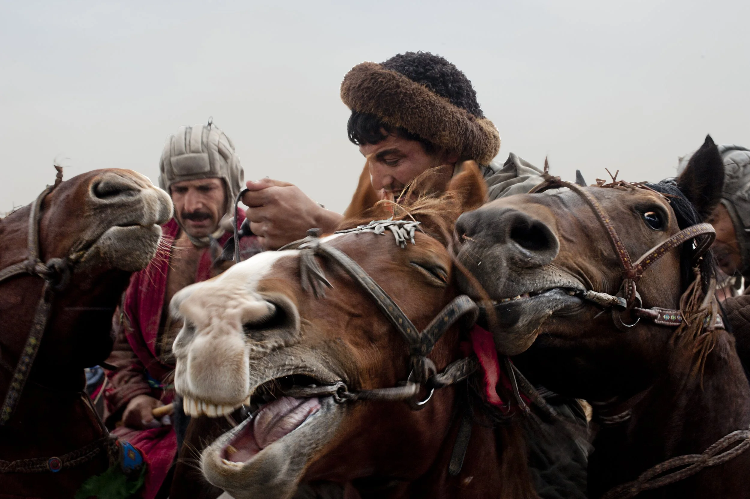 11 BUZKASHI KS_7422.jpg