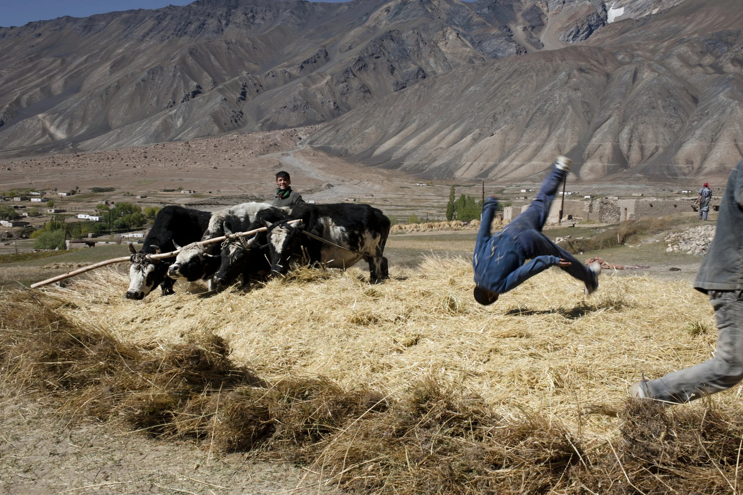 Somersault on a haystack of threshed grain.