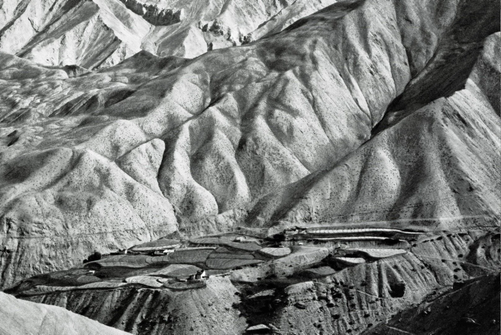 08 HIMALAYA 0254_---.jpg