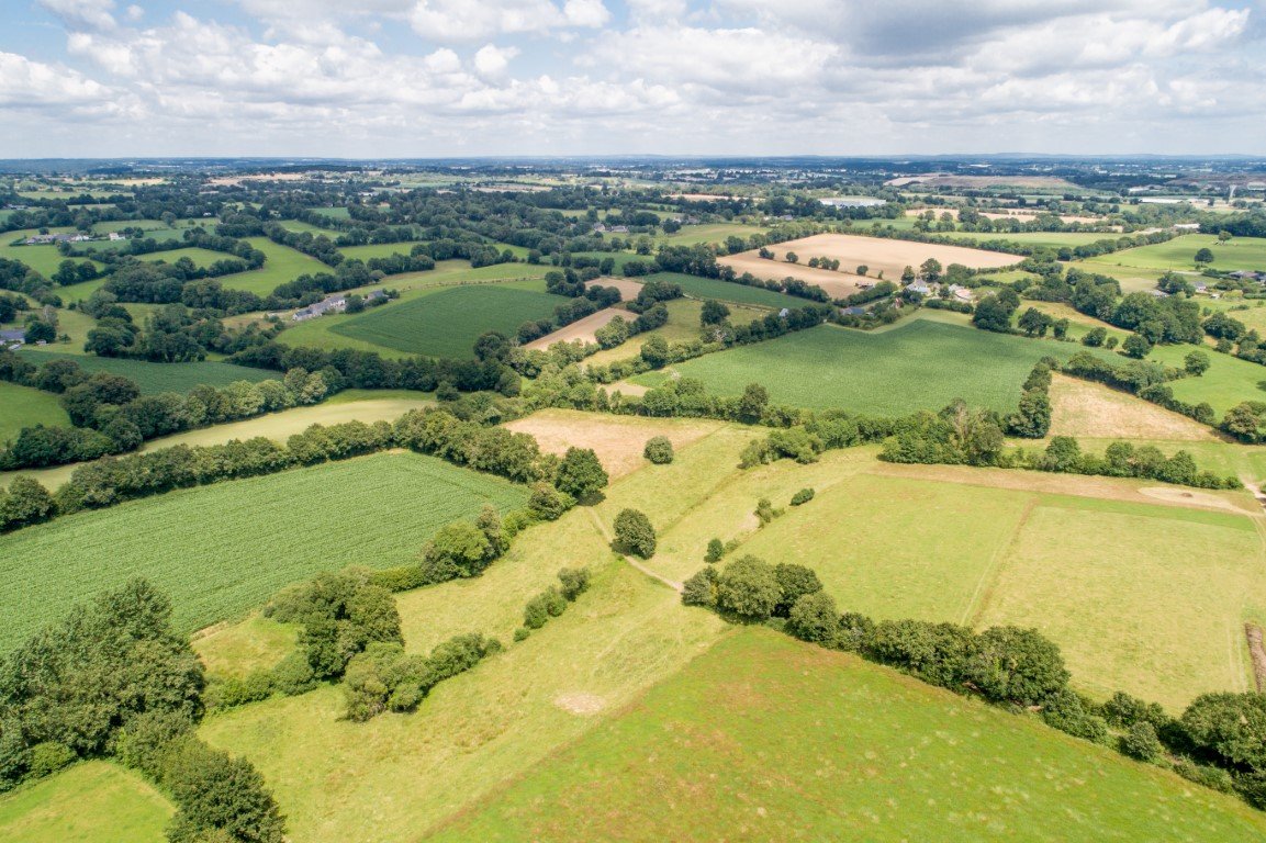 DJI_0440.jpg