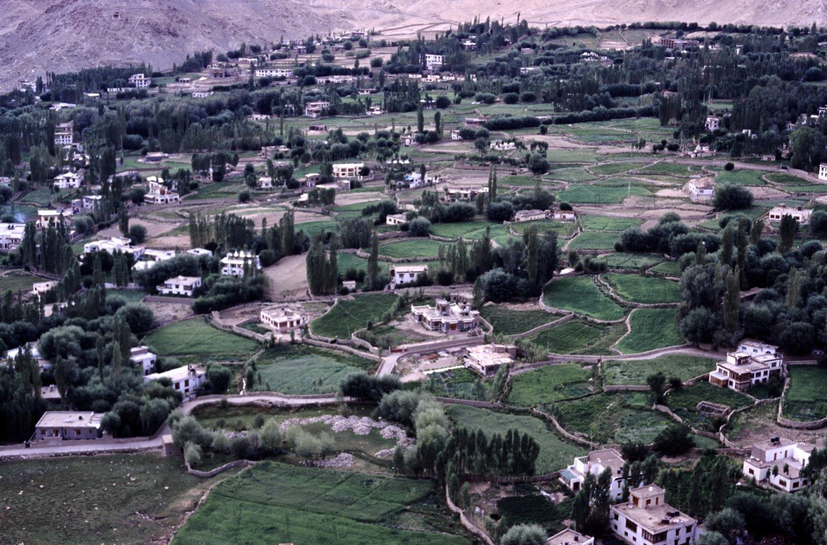 05 VUE SUR CHAMPS 1023.jpg