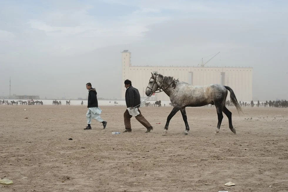 3 BUZKASHI KS DSC_7188.jpg