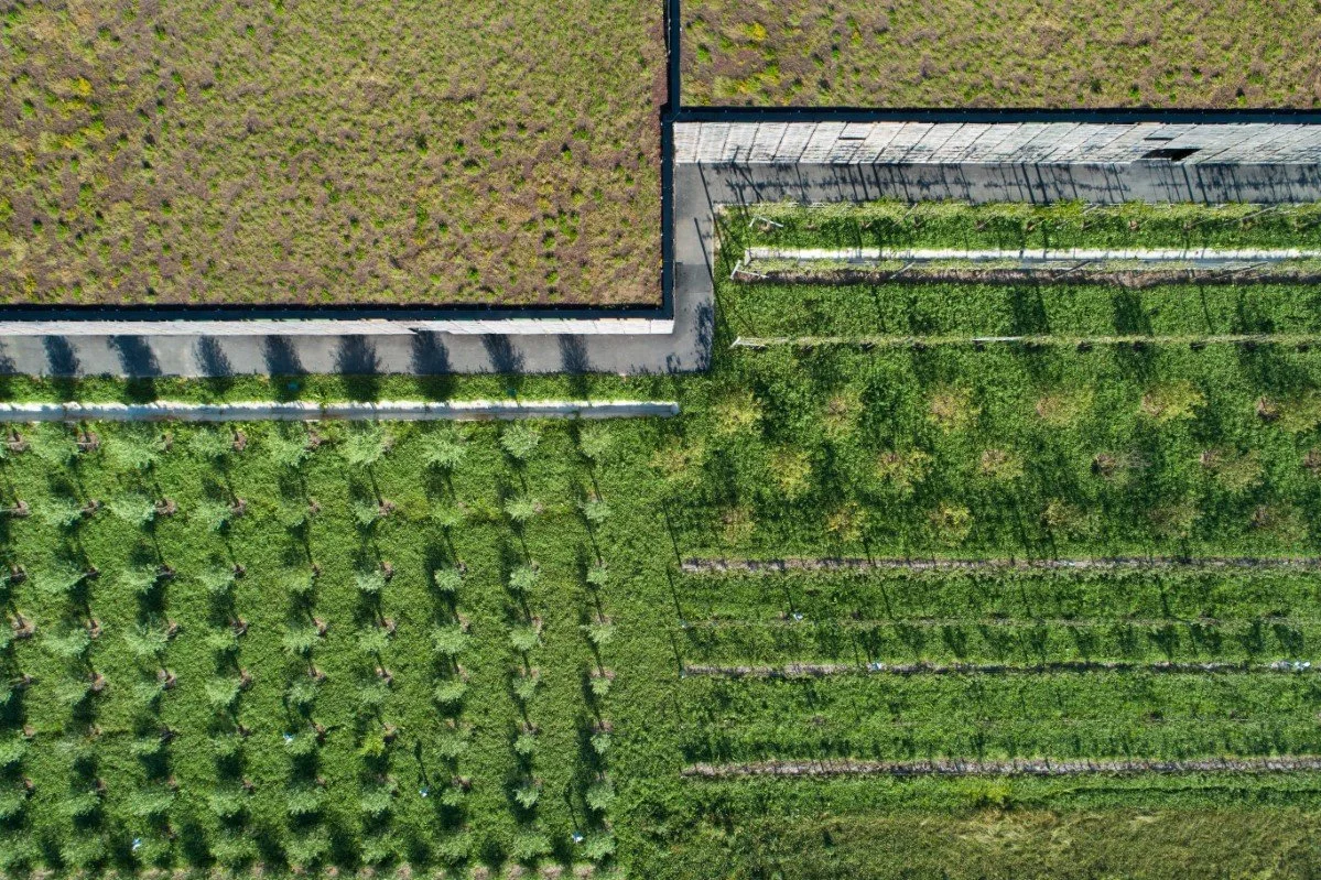 20180628-DJI_0188v2.jpg